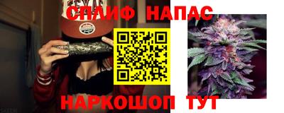 дмт Краснознаменск