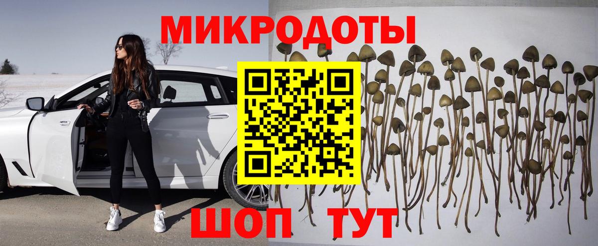 Галлюциногенные грибы прущие грибы Тулун