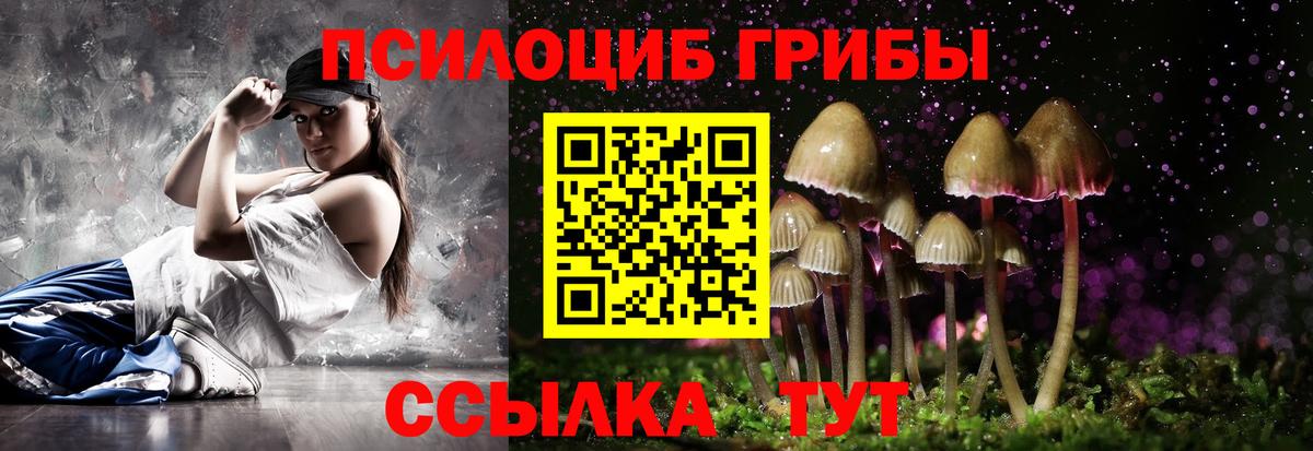 Тулун  Псилоцибиновые грибы MAGIC MUSHROOMS  Вход с VPN 