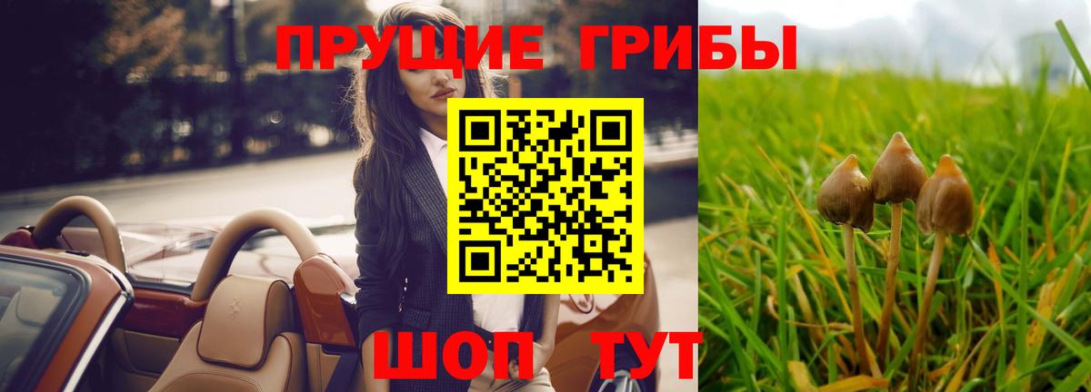 Псилоцибиновые грибы мицелий Тулун